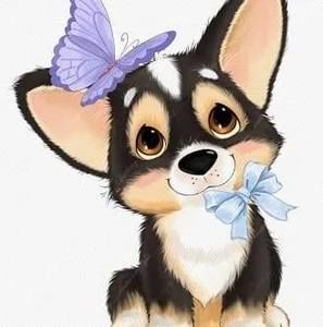 Meet your Posher, Tom